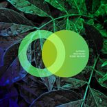 Artwork for "Doubt Me Now"