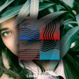 Portada para "Looking Leafs"