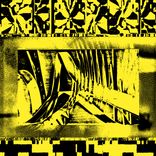 Members of Warning 2020