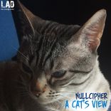 Artwork for "A Cat's View"