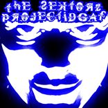 Portada para "Project I.D.G.A.F."