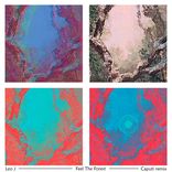 Artwork for "Feel The Forest"