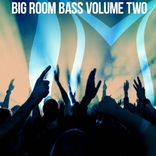 Artwork for "Big Room Bass, Vol. 2"