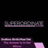 Artwork voor "The Answer Is in the Mirror"