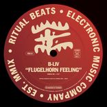 Artwork for "Flugelhorn Feeling"