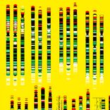 Artwork für "It's Only a Matter of Acceleration Now"