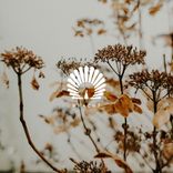 Artwork for "Honto (Deetron Remixes)"