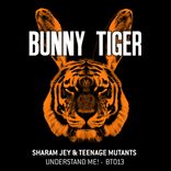 Artwork for "Understand Me!"