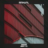 Artwork for "Crispy Fly"