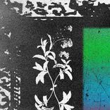 Artwork voor "Say Something Now"