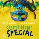 Artwork voor "Sumthin' Special"