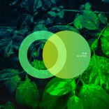 Artwork for "Alta Tiza"