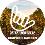 Artwork for "Marvin's Garden"