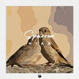 Artwork for "Sparrow"