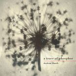 The Airwaves Call Us