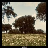 Artwork for "Corazón"