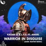 Artwork for "Warrior in Disguise"