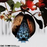 Artwork für "Die Nuss"