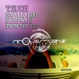 Artwork for "Smells Like Summa"