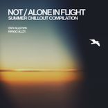 Artwork voor "Not / Alone in Flight"