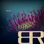 Artwork for "Starvation"