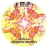 Artwork for "Shard Of Destiny"