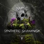 Artwork for "Synthetic Shamanism"