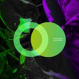 Artwork for "Scape World"