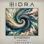 Artwork für "Synergy"
