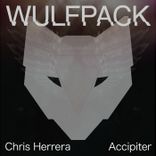 Artwork voor "Accipiter"