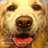 Artwork for "Hi Bro!"