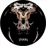 Artwork für "Void / Halogen"