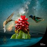 Portada para "Ekology"