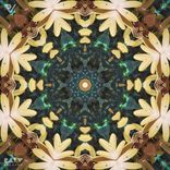 Artwork for "The Divine, Pt. 2"