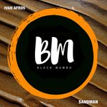 Artwork for "Sandman"