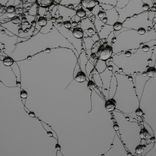 Artwork für "Axioma"