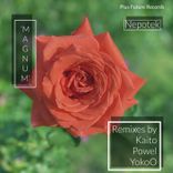 Artwork for "Magnum"