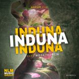 Artwork for "Induna"
