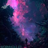 Artwork for "Wormhole"