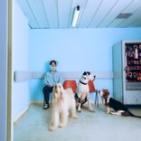 Portada para "Different"