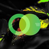 Artwork for "Ravage"