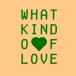 Artwork voor "What Kind Of Love"