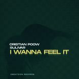 Artwork for "I Wanna Feel It"