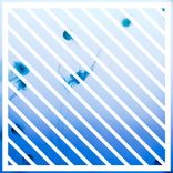 Artwork for "Infinity"