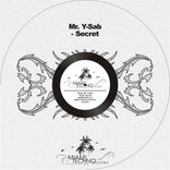 Artwork für "Secret"