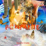 Artwork für "Fallen Stars"