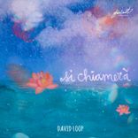 Portada para "Si chiamerà"