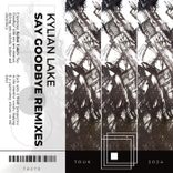 Say Goodbye (ALVA IT Remix)