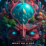 Portada para "What do u see"