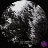 Artwork für "Lord of Underworld"